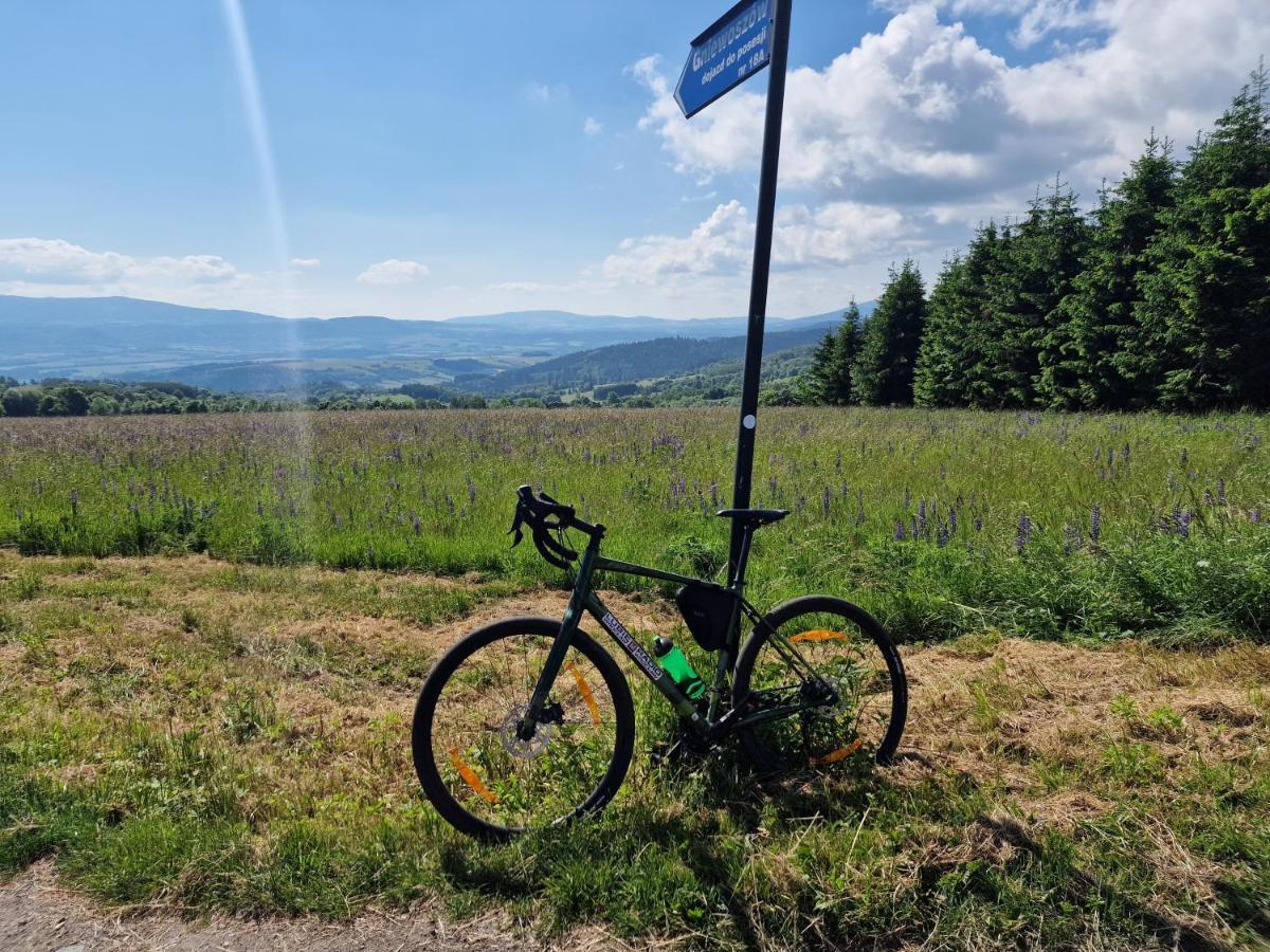 All Season Klimatyzowany Dom Przy Szlaku Z Prywatnym Tarasem I Widokiem Na Gory Orlickie - Sudety Sauna&Jacuzzi, Skalne Miasto Lasowka Bagian luar foto